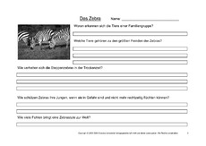 Zebra-Fragen-3.pdf